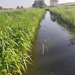 Летний дом Olederska Zagroda Pracownia