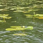 Летний дом Olederska Zagroda Pracownia Boruja