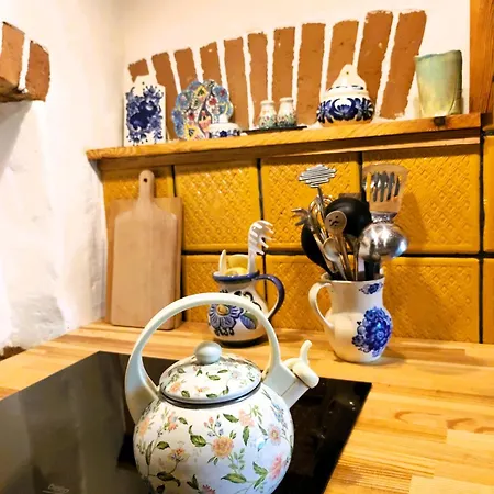 乡村民宿 Olederska Zagroda Pracownia Boruja