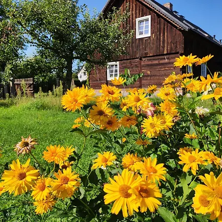 Olederska Zagroda Pracownia Boruja