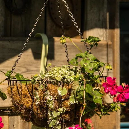 Country house Olederska Zagroda Pracownia Boruja