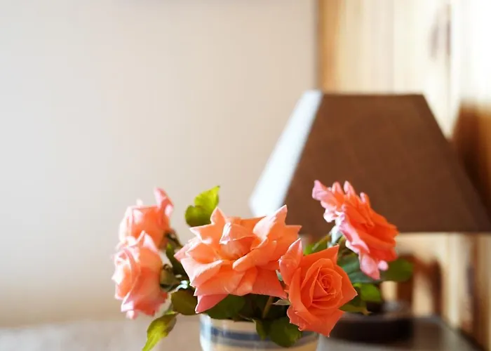 Olederska Zagroda Pracownia Boruja