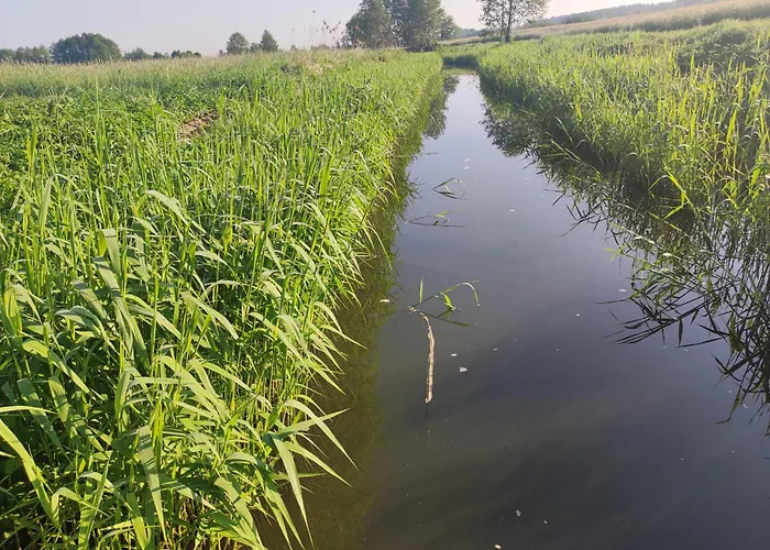 Country house Olederska Zagroda Pracownia
