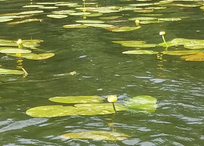 منزل ريفي Olederska Zagroda Pracownia Boruja