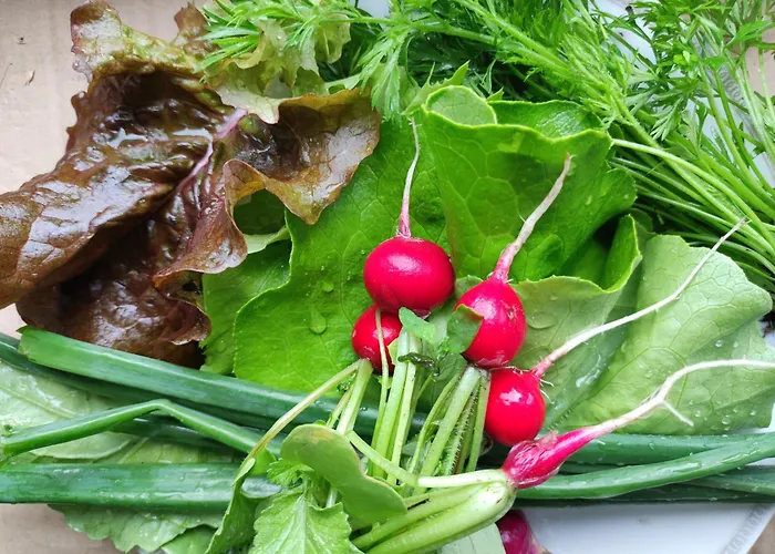 Olederska Zagroda Pracownia Boruja