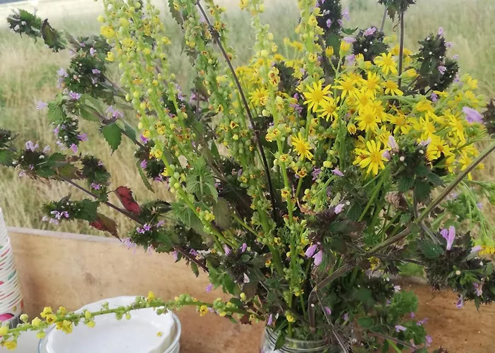 Olederska Zagroda Pracownia Country house