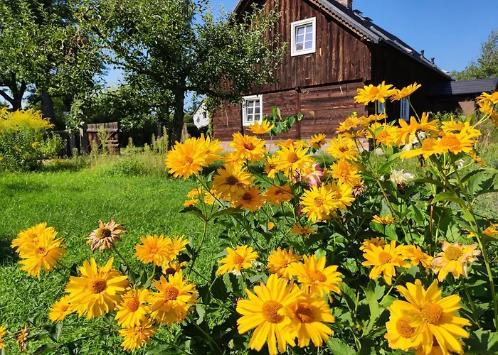 Olederska Zagroda Pracownia Boruja