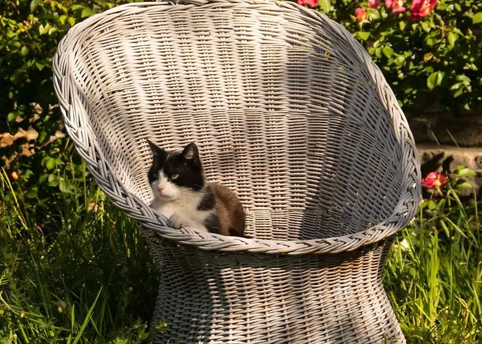 Olederska Zagroda Pracownia Country house