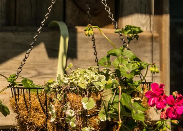 Country house Olederska Zagroda Pracownia Boruja