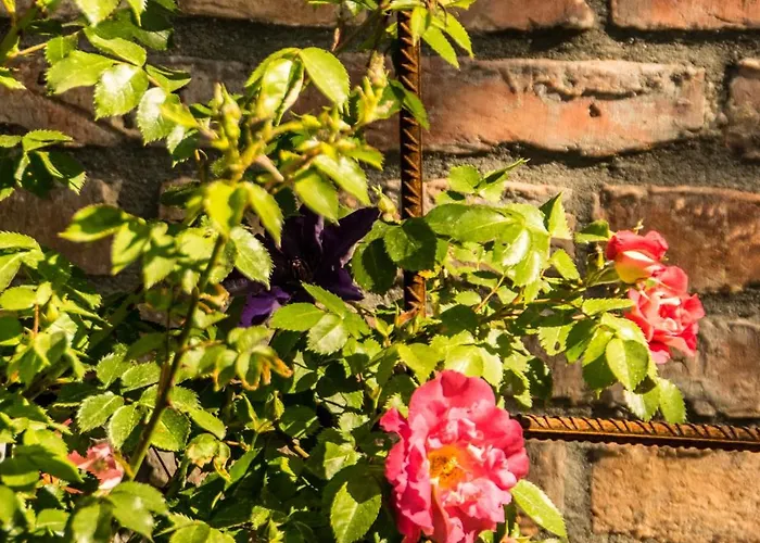 Olederska Zagroda Pracownia * Boruja