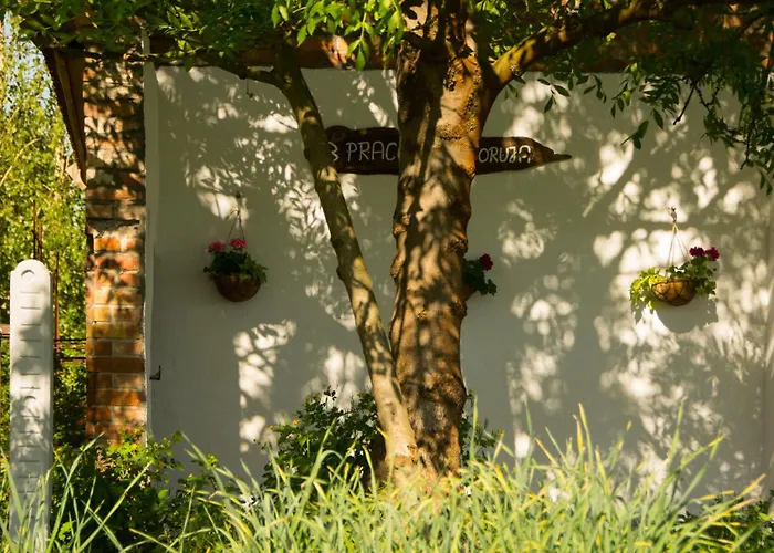 Country house Olederska Zagroda Pracownia