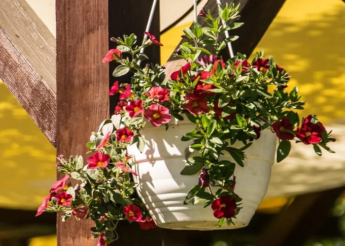 Olederska Zagroda Pracownia *