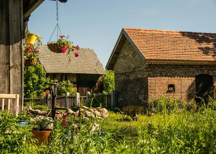 Olederska Zagroda Pracownia Boruja